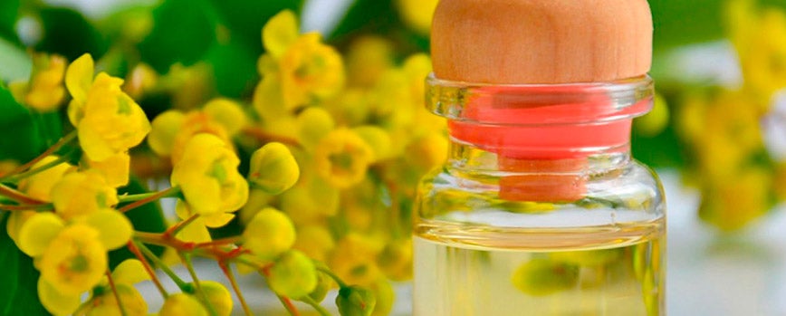 Propiedades del aceite de marula