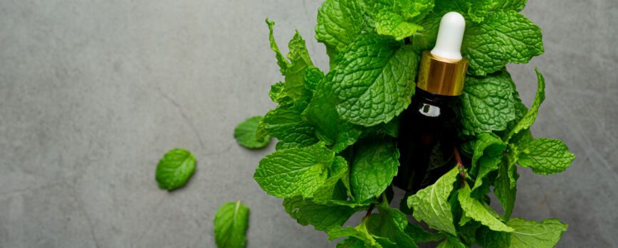 Aceite esencial de menta pimienta en botella con menta verde fresca
