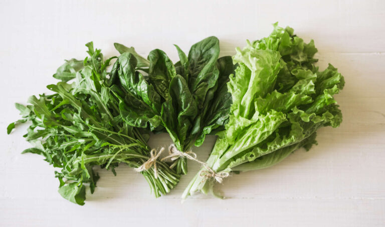 Verduras y hortalizas