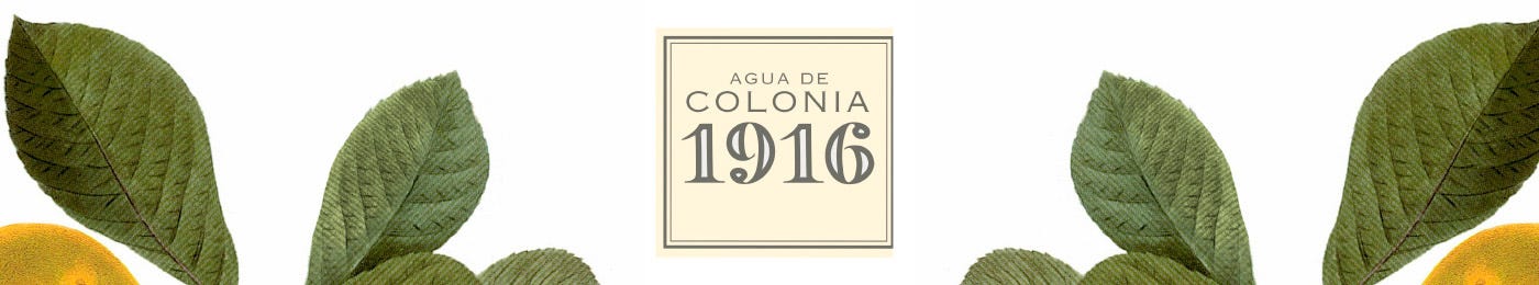 1916 1916