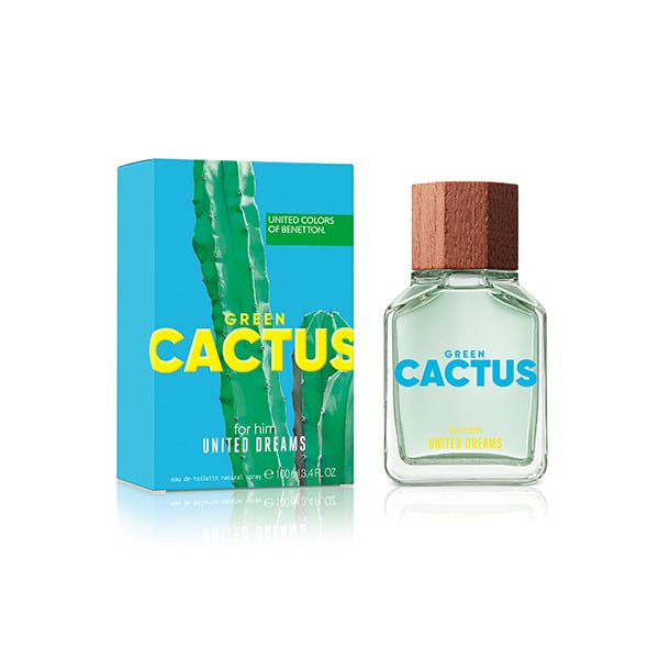 Dreams Green Cactus