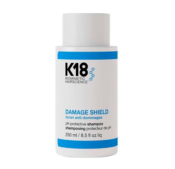 Damage Shield