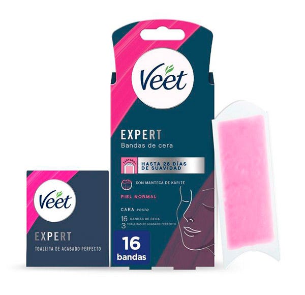 Expert