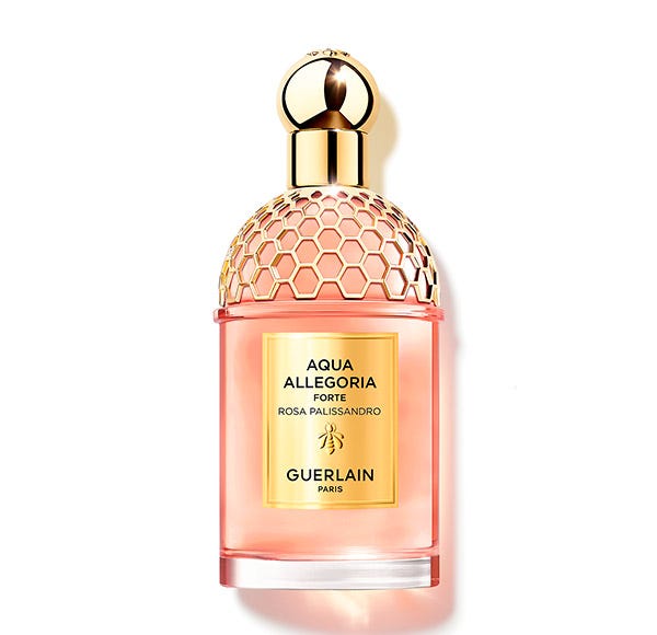 Aqua Allegoria Forte Rosa Palissandro Recargable