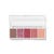 Color Icon 5 Pan Palette